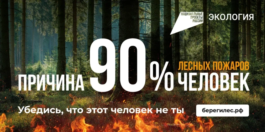Противопожарная кампания «Останови огонь!» Противопожарная кампания «Останови огонь!».